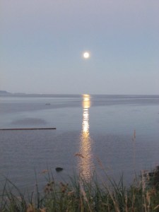 there is an island small and remote afloat in the Salish Sea an enchanted island inhabited by faerie and witches as alluring as Circe, tempter of Ulysses it will capture you if it can and keep you in its embrace beware do not go for if you do you will never want to leave but if leave you must prepare to leave your heart behind